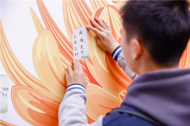 Gallery Thumbnail