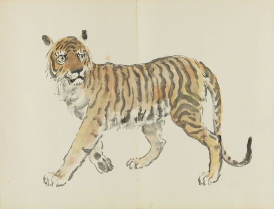 Gallery Thumbnail