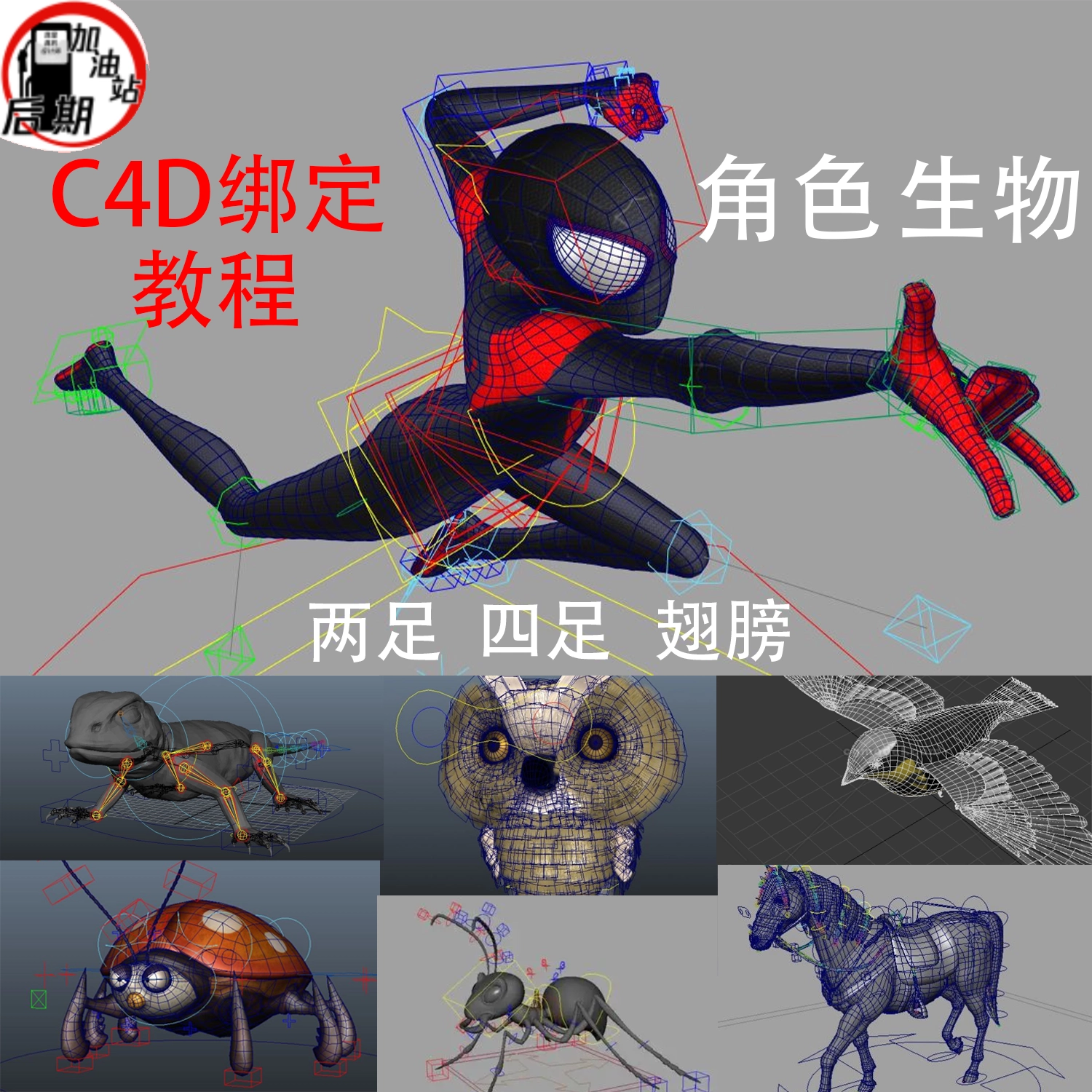 Gallery Thumbnail