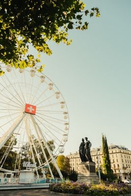 Gallery Thumbnail