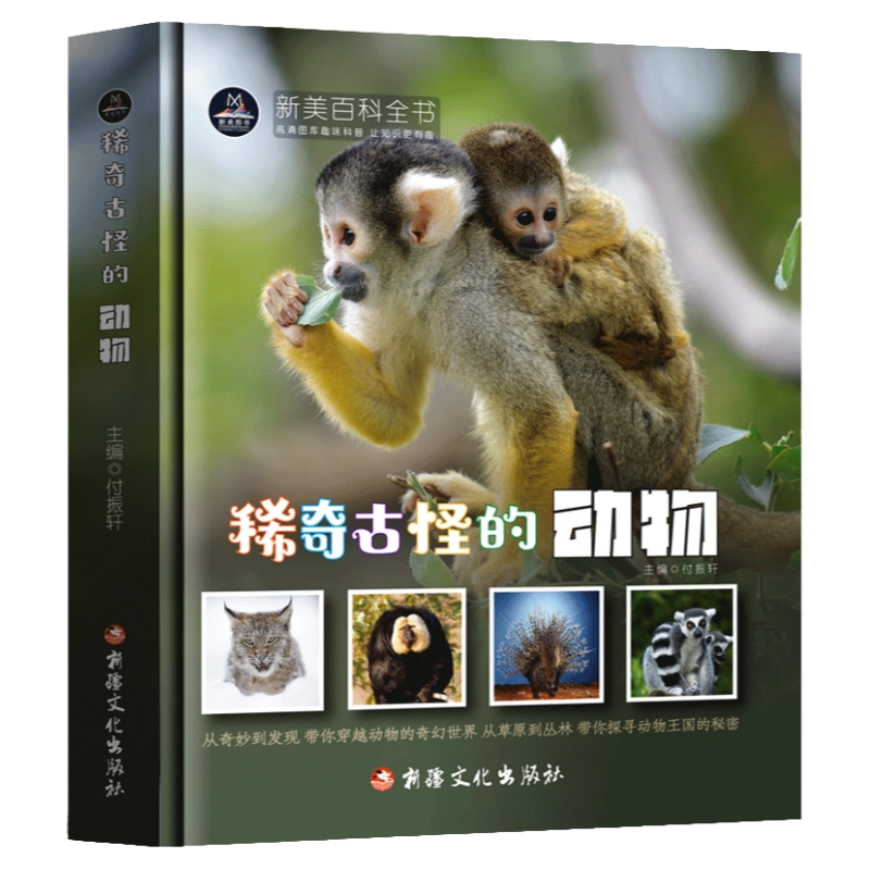 Gallery Thumbnail