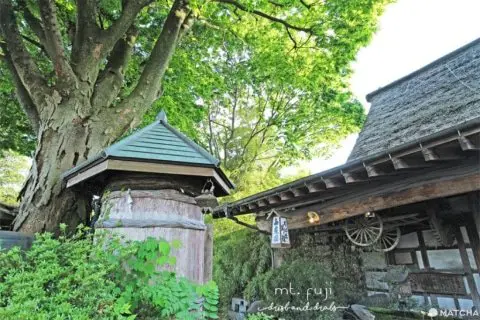 Gallery Thumbnail