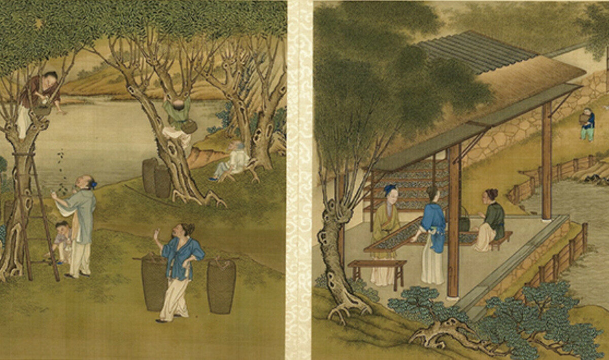 Gallery Thumbnail